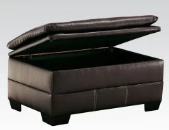 Hayley Storage Ottoman (Premier Chocolate)