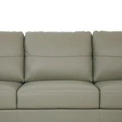 Helena Sofa (Moss Green) -Professional Furniture Discount Store 54570 sofa 6