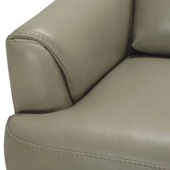 Helena Sofa (Moss Green) -Professional Furniture Discount Store 54570 sofa 8