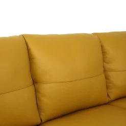 Valeria Sofa (Mustard) -Professional Furniture Discount Store 54945 sofa 4