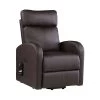 Ricardo Recliner W/ Power Lift (Brown)