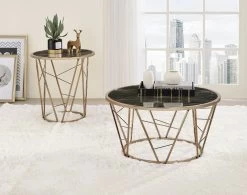 Cicatrix Occasional Table Set -Professional Furniture Discount Store 83300 83302 ot set 1