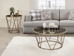 Cicatrix Occasional Table Set -Professional Furniture Discount Store 83300 83302 ot set 2