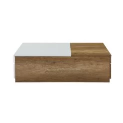 Aafje Storage Coffee Table -Professional Furniture Discount Store LV00797 coffee table 3