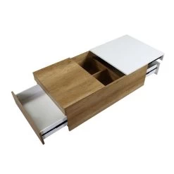 Aafje Storage Coffee Table -Professional Furniture Discount Store LV00797 coffee table 4