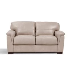Cornelia Loveseat -Professional Furniture Discount Store LV01297 loveseat 3