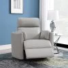 Sagen Swivel Glider Recliner (Gray)